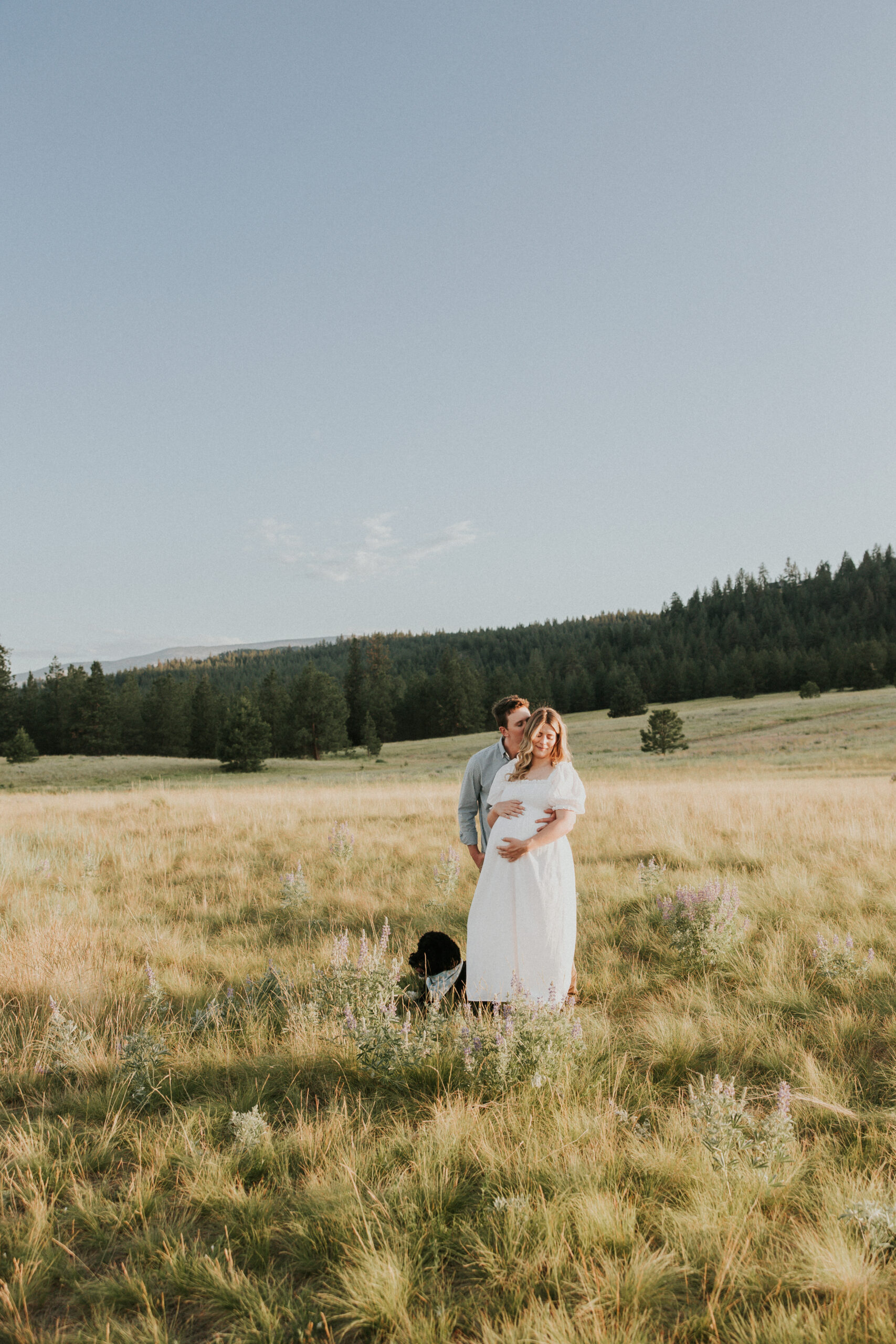 Maternity Photo in a field of wild flowers of a Pregnant woman with dog