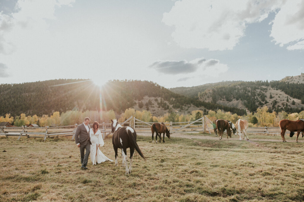 Bride and Groom walking in a field of horses with sun setting behind mountain