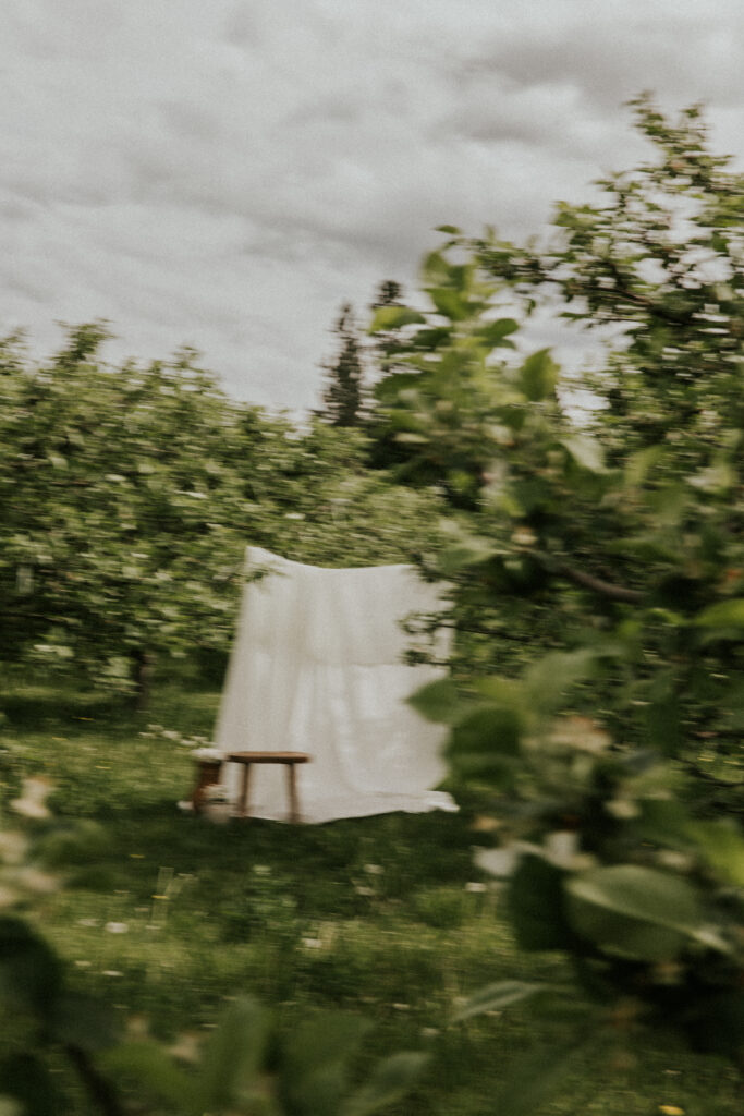 Mama holding her child in a dreamy orchard setting with timeless, emotional imagery