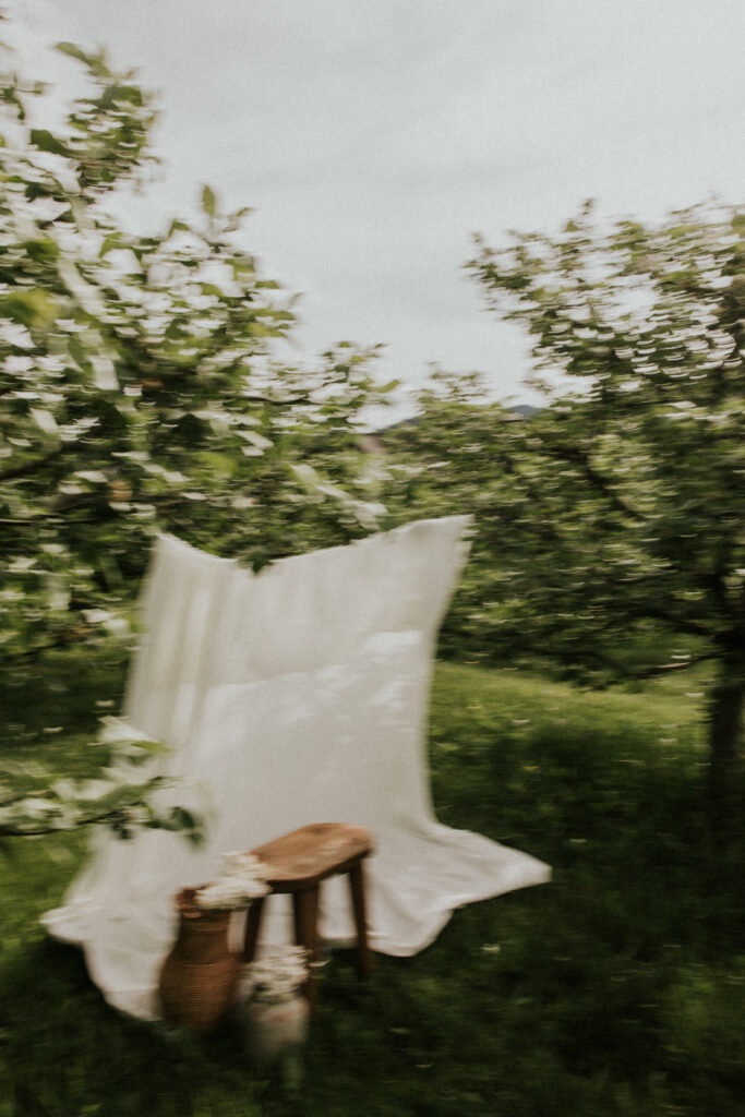 Organic family photography moments captured beneath orchard trees in Montana